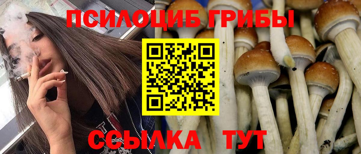 Псилоцибиновые грибы Magic Shrooms Тольятти